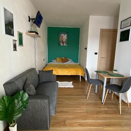 Green Studio Temesvár Kültér fotó